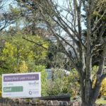 A sign for Abbeyfield Lear House with a CQC rating Good stands proudly on a stone wall, surrounded by trees and greenery, marking this welcoming residential care home.