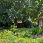 The garden of the residential care home features green grass, various plants, and trees. Pink flowers and shrubs adorn the foreground, whilst a blue bench sits in the background under the shade of towering trees, offering a peaceful retreat for residents.