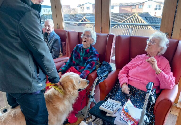 Elderly people sitting in armchairs engage with a visitor and a therapy dog, basking in the sunlight streaming through large windows of the care home, revealing a picturesque view of rooftops.